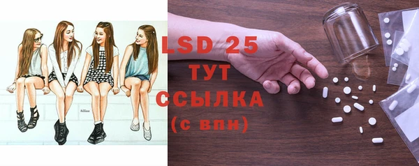 PSILOCYBIN Алзамай