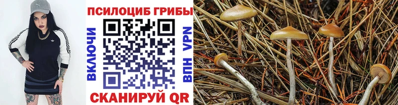 где можно купить наркотик  Брюховецкая  Галлюциногенные грибы мухоморы 